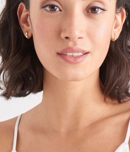 Ania Haie Earring 925 Sterling Zilver Luxe Huggie Hoop Earrings Goudkleurig
