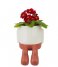 Balvi Flower pot Flower Pot Mr Dangly Red