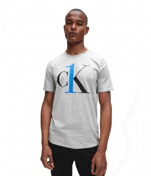 Calvin Klein T shirt S/S Crew Neck Heather grey (YG4)