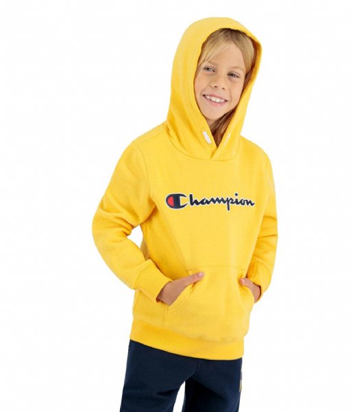 Champion  Kids Hooded Sweatshirt BNN (YS107)