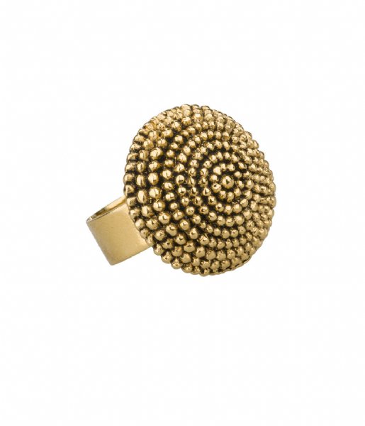 Camps en Camps Ring gold plated globe ring Gold plated