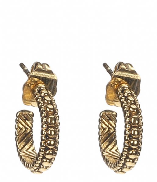 Camps en Camps Earring Hoops Gold plated