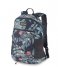 Dakine Everday backpack Wndr Pack 18L Euclptusfl