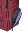 Delsey Laptop Backpack Elements Backpacks Voyager Red