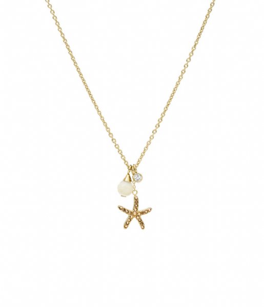 Fossil Necklace Classics Gold