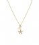 Fossil Necklace Classics Gold