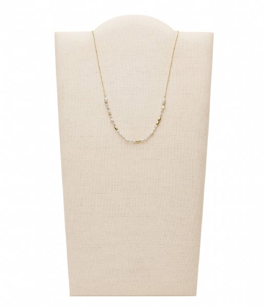 Fossil Necklace Drew Gold