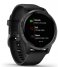 Garmin Smartwatch Venu Black/Slate