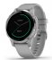 Garmin Smartwatch Vivoactive 4S Silver with powder grey band