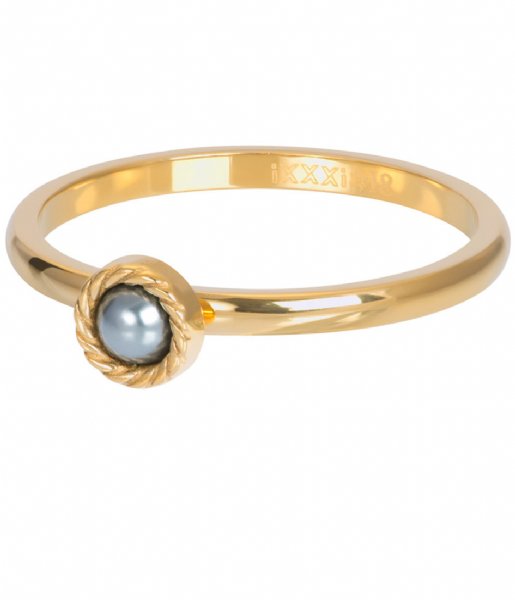 iXXXi Ring Royal Grey Gold colored (01)