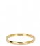 iXXXi Ring Hammerite Gold colored (01)