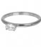 iXXXi Ring King Silver plated (003)