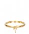 iXXXi Ring Symbol palm tree Gold colored (01)