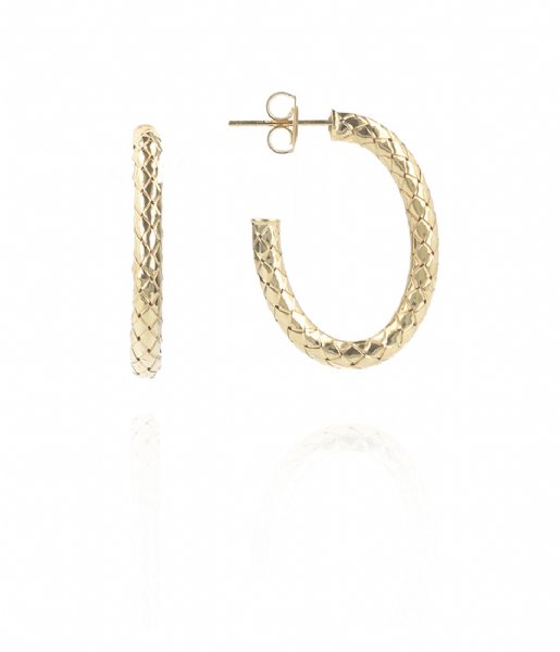 LOTT Gioielli Earring CL Earring Cobra creole Oval S Gold Gold plated