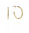 LOTT Gioielli Earring CL Earring Cobra creole Oval S Gold Gold plated