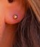 My Jewellery Earring Small Stud Dot gold colored (1200)
