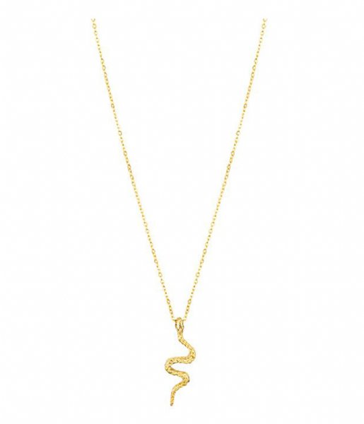 My Jewellery Necklace Snake Necklace Goud (1200)