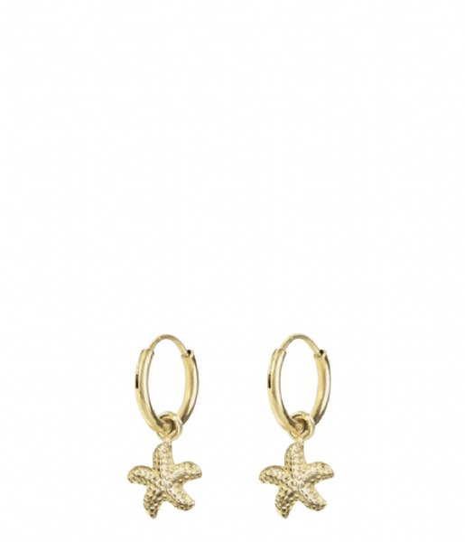 My Jewellery Earring Oorringen zeester goudkleurig (1200)