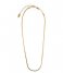 Orelia Necklace Flat Snake Chain Necklace Gold plated