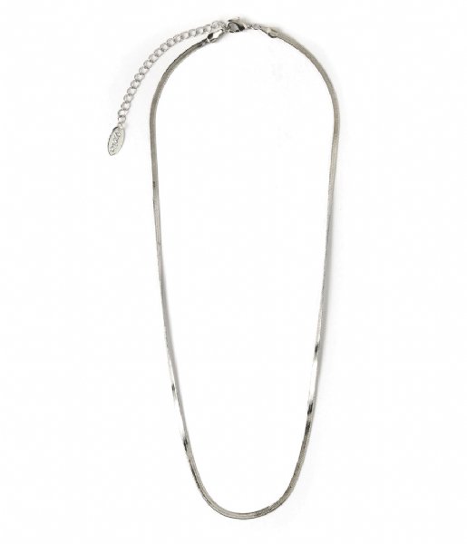 Orelia Necklace Flat Snake Chain Necklace Silver plated