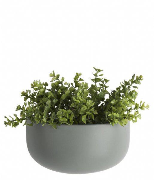 Present Time Flower pot Wall plant pot Oval wide ceramic matt green (PT3384GR)