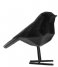 Present Time Decorative object Statue bird small polyresin Flocked Black (PT3550BK)