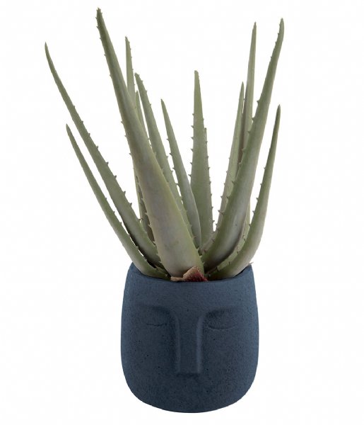 Present Time Flower pot Plant pot Face cement dark blue (PT3599BL)