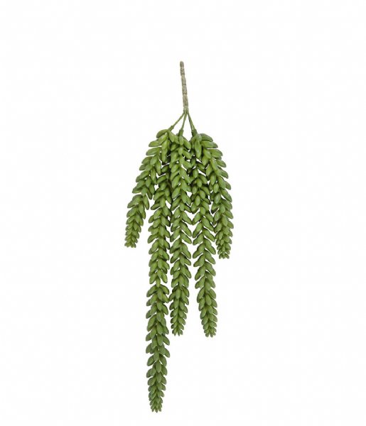 Present Time Decorative object Artificial plant Bean Leaves Stem large Stem Large (PT3646)