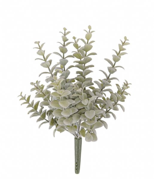 Present Time Decorative object Artificial plant Privet Branch Green (PT3653)