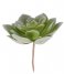 Present Time Decorative object Artificial plant Hen Succelent Pick Green (PT3662)