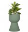 Present Time Flower pot Plant pot Tam Tam medium Jungle Green (PT3876GR)