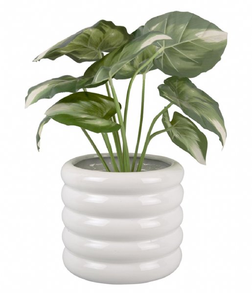 Present Time Flower pot Plant Pot Bobbly Glazed Ceramic Large White (PT3944WH)