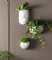 Present Time Flower pot Wall plant pot Oval marble print White (PT3737WH)