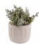 Present Time Flower pot Plant pot Drips cement large Ivory (PT3603WH)