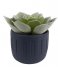 Present Time Flower pot Plant pot Drips cement small Dark blue (PT3605BL)