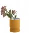 Present Time Flower pot Vase Cast rounded small ceramic Ochre Yellow (PT3478YE)