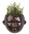 Present Time Flower pot Wall plant pot Mask round glazed Dark Brown (PT3502BR)