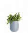 Present Time Flower pot Wall Plant Pot Oval Ceramic Matt sky blue (PT3383LB)