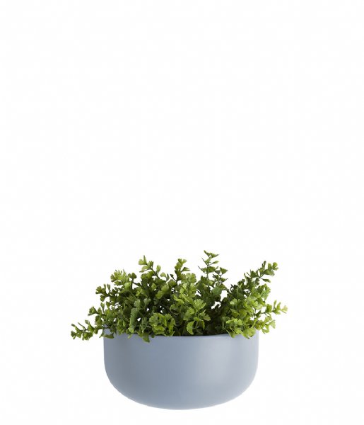 Present Time Flower pot Wall plant pot Oval wide ceramic matt sky blue (PT3384LB)