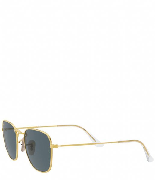 Ray Ban  Icons Frank Legend Gold (9196R5)