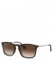 Ray Ban  Youngster Chris Rubber Havana (856/13)