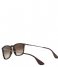 Ray Ban  Youngster Chris Rubber Havana (856/13)