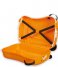 Samsonite Hand luggage suitcases Dream Rider Suitcase Tiger (7259)