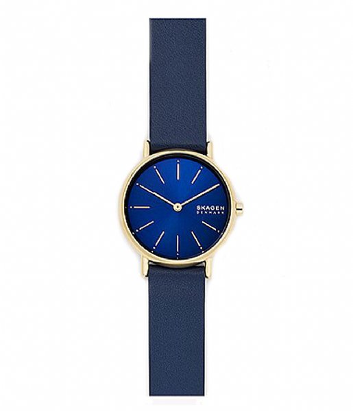 Skagen Watch Signature SKW2867 Blauw