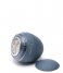 Steamery Gadget Pilo Fabric Shaver Blue (0431)