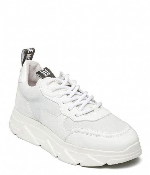 Steve Madden Sneaker Pitty Sneaker White White (11E)