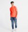 Superdry T shirt Vintage Destroyed Short Sleeve Polo Hyper Coral (MCQ)
