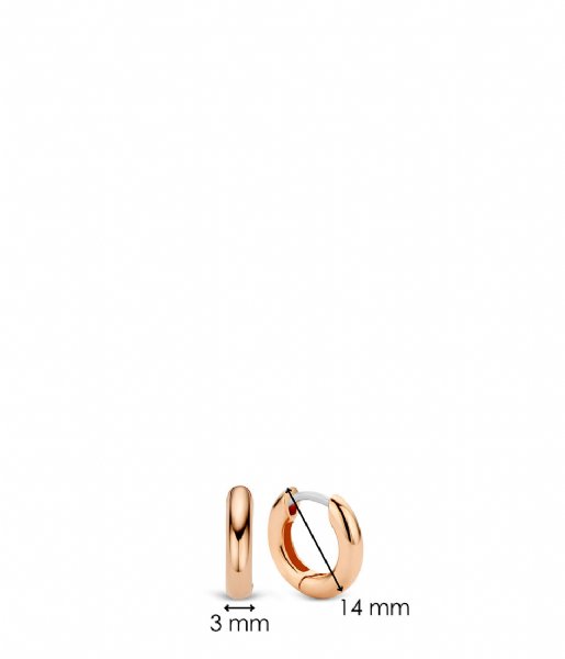 TI SENTO - Milano Earring 925 Sterling Zilveren Oorbellen 7210 Zilver met rosé verguld (7210RS)