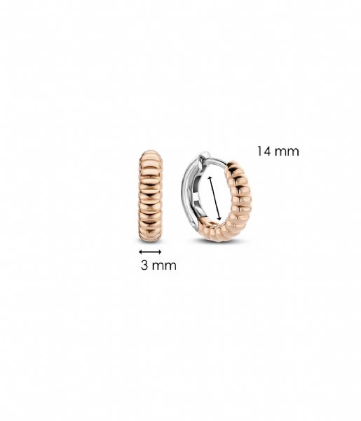TI SENTO - Milano Earring 925 Sterling Zilveren Earrings 7839 Silver Rosegold Plated (7839SR)