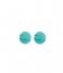 TI SENTO - Milano Earring 925 Sterling Zilveren Earrings 7841 Turquoise (7841TQ)